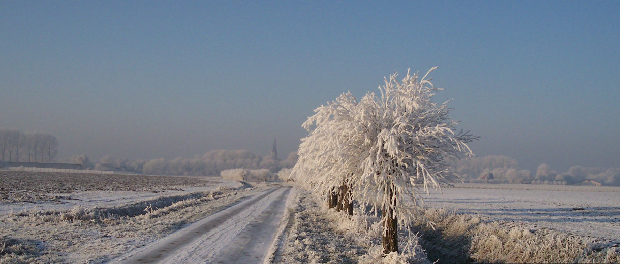 Image description goes here