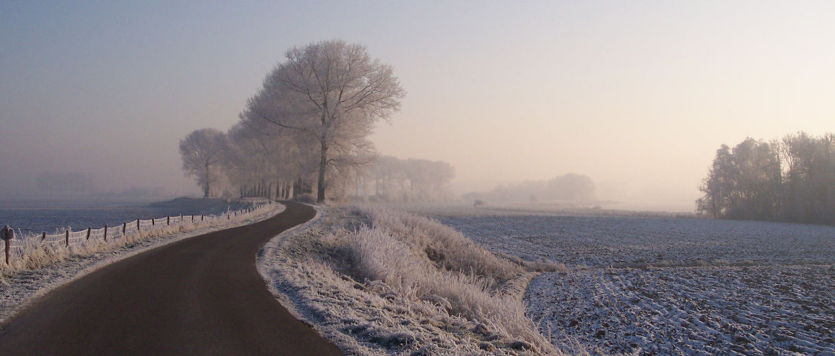 Image description goes here