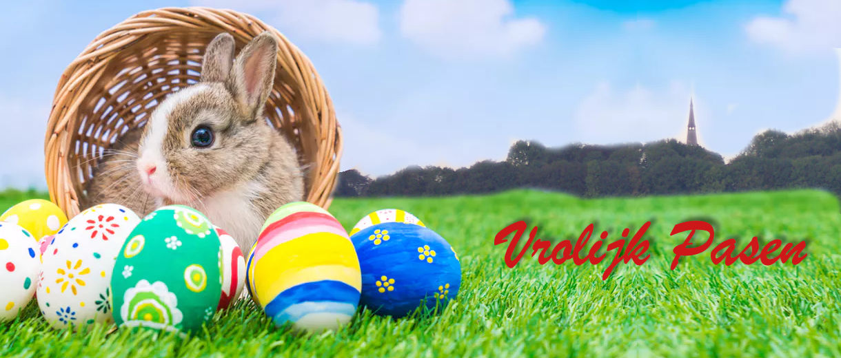 Image description goes here